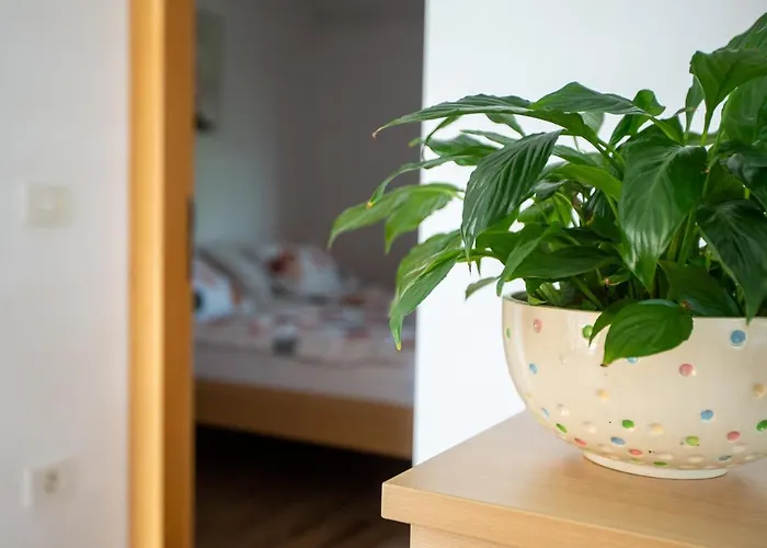 And Jeselnik Casa de hóspedes 2*