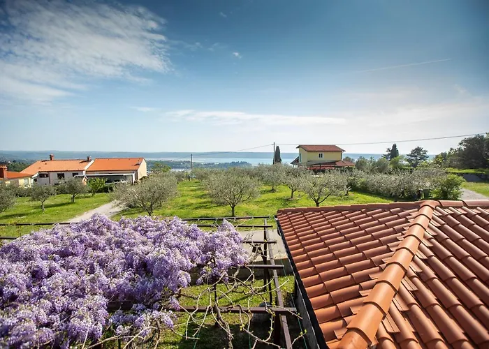 And Jeselnik Casa de hóspedes